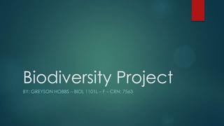 Biodiversity Project
BY: GREYSON HOBBS – BIOL 1101L – F – CRN: 7563

 