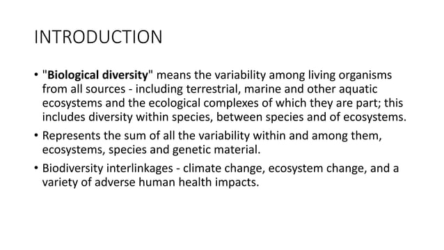 Biodiversity rainforest (plant) | PPT