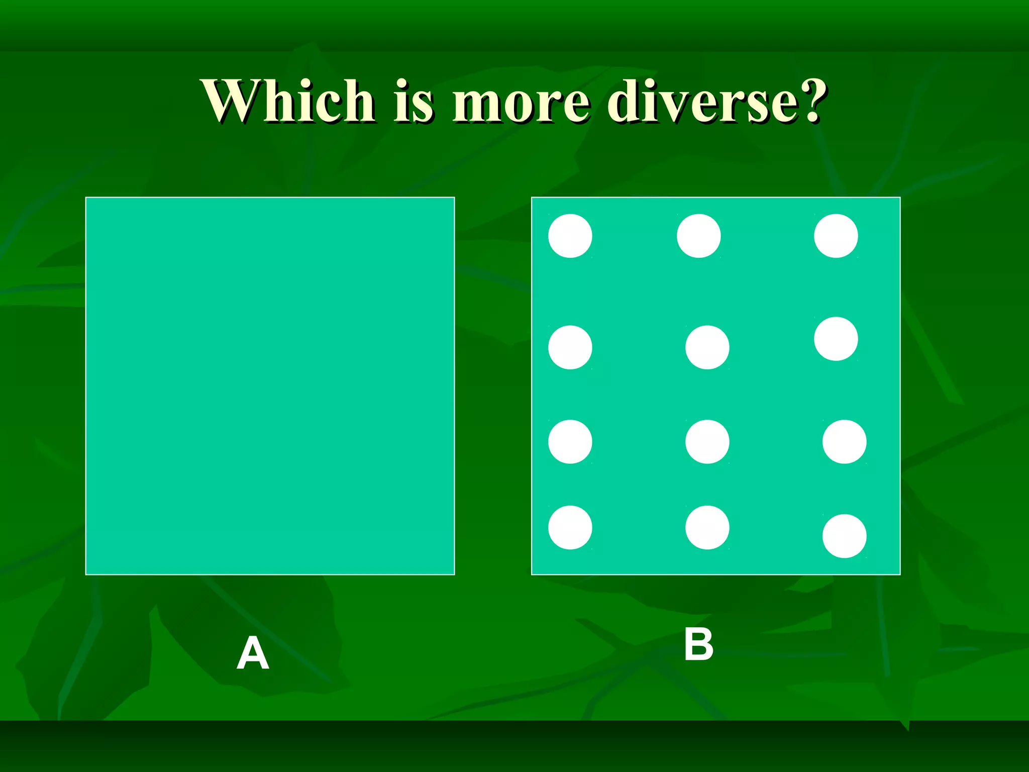 Which is more diverse?Which is more diverse?
A B
 