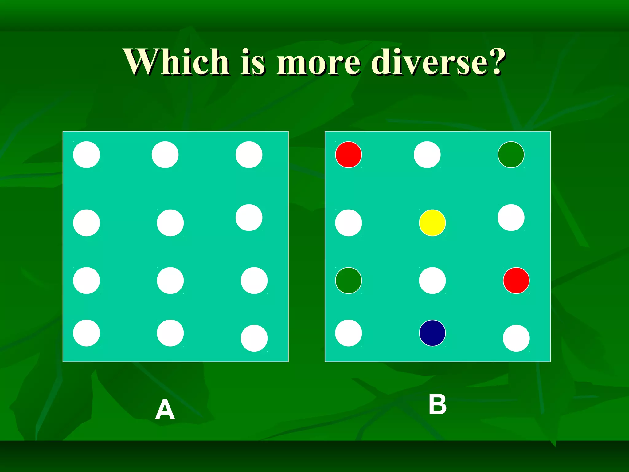 Which is more diverse?Which is more diverse?
A B
 