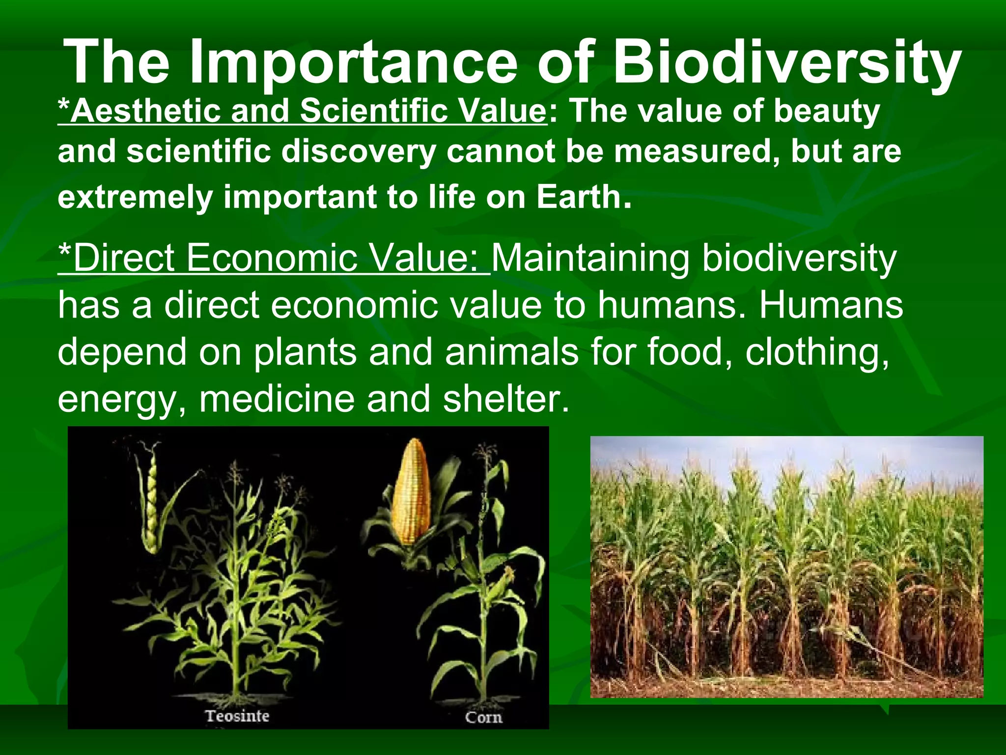 The Importance of Biodiversity
*Aesthetic and Scientific Value: The value of beauty
and scientific discovery cannot be measured, but are
extremely important to life on Earth.
*Direct Economic Value: Maintaining biodiversity
has a direct economic value to humans. Humans
depend on plants and animals for food, clothing,
energy, medicine and shelter.
 