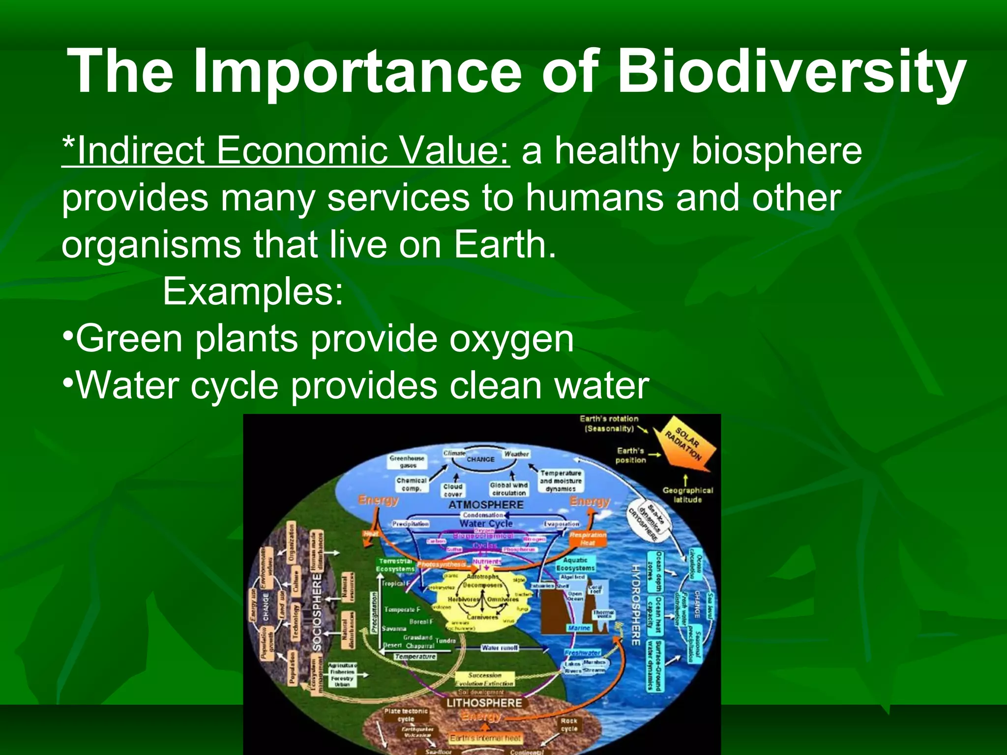 The Importance of Biodiversity
*Indirect Economic Value: a healthy biosphere
provides many services to humans and other
organisms that live on Earth.
Examples:
•Green plants provide oxygen
•Water cycle provides clean water
 