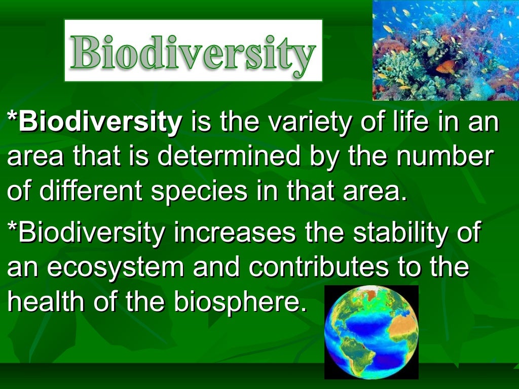 Biodiversity