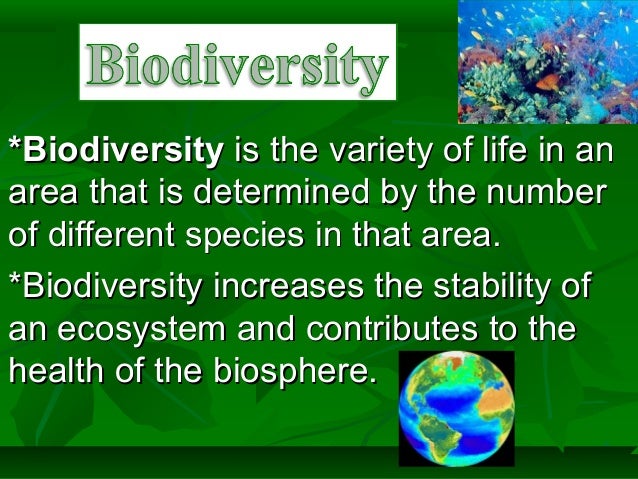 Biodiversity