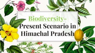 Biodiversity-
Present Scenario in
Himachal Pradesh
 
