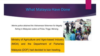What Malaysia Have Done
Ministry of Agriculture and Agro-based Industry
(MOA) and the Department of Fisheries
Malaysia (DOF) had decided to ban trawling.
Marine police detained the Vietnamese fishermen for illegally
fishing in Malaysian waters at Pulau Tinggi, Mersing.
 