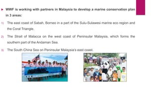  WWF is working with partners in Malaysia to develop a marine conservation plan
in 3 areas:
1) The east coast of Sabah, Borneo in a part of the Sulu-Sulawesi marine eco region and
the Coral Triangle.
2) The Strait of Malacca on the west coast of Peninsular Malaysia, which forms the
southern part of the Andaman Sea.
3) The South China Sea on Peninsular Malaysia’s east coast.
 