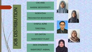 JOBDISTRIBUTION
CHE ANIS
MARINE BIODIVERSITY
NORFATIHA
FRESHWATER BIODIVERSITY
SYAIFUL AZRIE
TERESTRIAL
SITI ZAITON
RAINFOREST PLANT
AIDA SYAZWANI
RAINFOREST ANIMAL
 