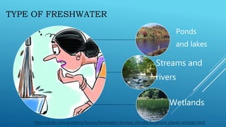 TYPE OF FRESHWATER
Ponds
and lakes
Streams and
rivers
Wetlands
http://study.com/academy/lesson/freshwater-biomes-climate-locations-plants-animals.html
 