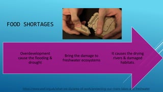 FOOD SHORTAGES
It causes the drying
rivers & damaged
habitats.
Bring the damage to
freshwater ecosystems
Overdevelopment
cause the flooding &
drought
https://www.wwf.org.uk/what-we-do/area-of-work/protecting-our-rivers-lakes-and-freshwater
 