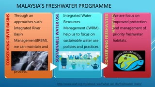 MALAYSIA’S FRESHWATER PROGRAMMECONSERVINGRIVERBASINS
Through an
approaches such
Integrated River
Basin
Management(IRBM),
we can maintain and
restore the
freshwater habitat
and ecological
process.
SUSTAINABLEWATERUSE
Integrated Water
Resources
Management (IWRM)
help us to focus on
sustainable water use
policies and practices
that contribute to
freshwater habitat
conservation.
CONSERVINGFRESHWATER
HABITATS
We are focus on
improved protection
and management of
priority freshwater
habitats.
http://www.wwf.org.my/about_wwf/what_we_do/freshwater_main/
 