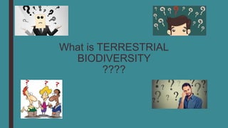 What is TERRESTRIAL
BIODIVERSITY
????
 