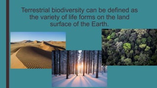 Terrestrial biodiversity can be defined as
the variety of life forms on the land
surface of the Earth.
 