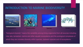 INTRODUCTION TO MARINE BIODIVERSITY
 "biological diversity" means the variability among living organisms from all sources including
inter alia, terrestrial, marine and other aquatic ecosystems and the ecological complexes of
which they are includes diversity within species, between species and of ecosystems.
Ecosystems GenesSpeciesCommunities
 