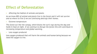 Effect of Deforestation
 Affecting the habitat of animals and plants
As we know 80% of animal and plants live in the forest and it will not survive
and no where to-live if we are continuing destroys their homes.
 Extreme temperature
The forest act like the canopy, which blocks the sun’s rays during the day and
holds in heat at night. If we continue to disrupt the forest this will contribute in
increasing temperature and global warming.
 Less oxygen produced
Less oxygen produced that will harm the animals and human being because we
need the oxygen to live.
 