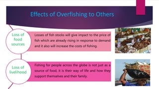 Effects of Overfishing to Others
Losses of fish stocks will give impact to the price of
fish which are already rising in response to demand
and it also will increase the costs of fishing.
Fishing for people across the globe is not just as a
source of food, it is their way of life and how they
support themselves and their family.
Loss of
food
sources
Loss of
livelihood
 