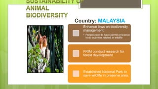 Country: MALAYSIA
Enhance laws on biodiversity
management.
• People need to have permit or licence
to do activities related to wildlife
FRIM conduct research for
forest development
Established National Park to
save wildlife in preserve area.
 
