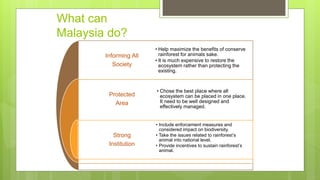 What can
Malaysia do?
Informing All
Society
Protected
Area
Strong
Institution
• Help maximize the benefits of conserve
rainforest for animals sake.
• It is much expensive to restore the
ecosystem rather than protecting the
existing.
• Chose the best place where all
ecosystem can be placed in one place.
It need to be well designed and
effectively managed.
• Include enforcement measures and
considered impact on biodiversity.
• Take the issues related to rainforest’s
animal into national level.
• Provide incentives to sustain rainforest’s
animal.
 