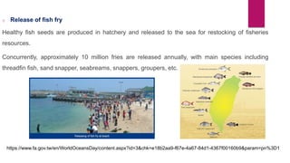 o Release of fish fry
Healthy fish seeds are produced in hatchery and released to the sea for restocking of fisheries
reso...