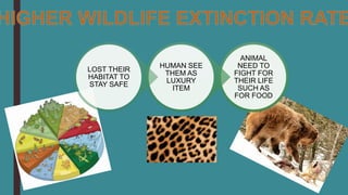 ANIMAL
NEED TO
FIGHT FOR
THEIR LIFE
SUCH AS
FOR FOOD
HUMAN SEE
THEM AS
LUXURY
ITEM
LOST THEIR
HABITAT TO
STAY SAFE
 
