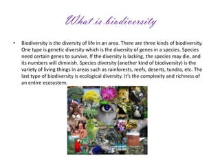 What is biodiversity
• Biodiversity is the diversity of life in an area. There are three kinds of biodiversity.
One type is genetic diversity which is the diversity of genes in a species. Species
need certain genes to survive. If the diversity is lacking, the species may die, and
its numbers will diminish. Species diversity (another kind of biodiversity) is the
variety of living things in areas such as rainforests, reefs, deserts, tundra, etc. The
last type of biodiversity is ecological diversity. It’s the complexity and richness of
an entire ecosystem.
 