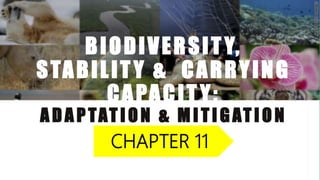 C H A P T E R 1 1 , P P. 1 5 6 - 1 6 4
BIODIVERSITY,
STABILITY & CARRYING
CAPACITY:
A DAPTATION & M I TIGATION
CHAPTER 11
 