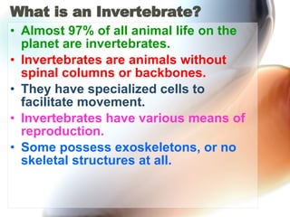 What is an Invertebrate? Almost 97% of all animal life on the planet are invertebrates. Invertebrates are animals without spinal columns or backbones. They have specialized cells to facilitate movement. Invertebrates have various means of reproduction. Some possess exoskeletons, or no skeletal structures at all. 