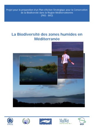 Projet pour la préparation d’un Plan d’Action Stratégique pour la Conservation
de la Biodiversité dans la Région Méditerranéenne
(PAS - BIO)
La Biodiversité des zones humides en
Méditerranée
 