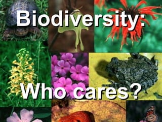 Biodiversity:  Who cares? 