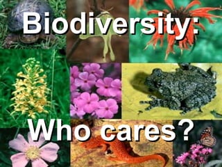 Biodiversity:


Who cares?
 