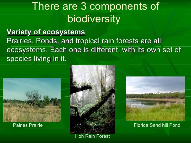 Biodiversity Who Cares Slide Show