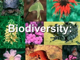 Biodiversity:
 