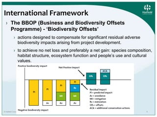 International Framework 
› The BBOP (Business and Biodiversity Offsets 
Programme) - ‘Biodiversity Offsets’ 
› actions designed to compensate for significant residual adverse 
biodiversity impacts arising from project development. 
› to achieve no net loss and preferably a net gain: species composition, 
habitat structure, ecosystem function and people’s use and cultural 
values. 
© Hatfield Consultants. All Rights Reserved. 6 
 
