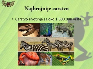 • Carstvo životinja sa oko 1.500.000 vrsta