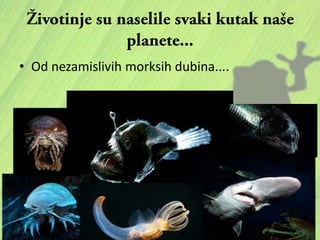 • Od nezamislivih morksih dubina....