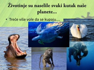• Trede više vole da se kupaju....