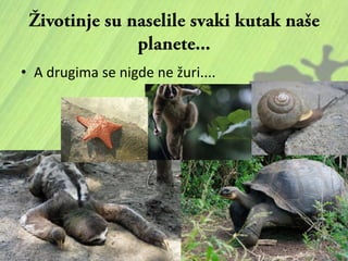 • A drugima se nigde ne žuri....