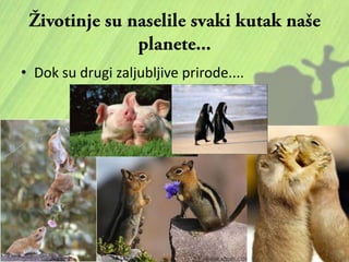 • Dok su drugi zaljubljive prirode....