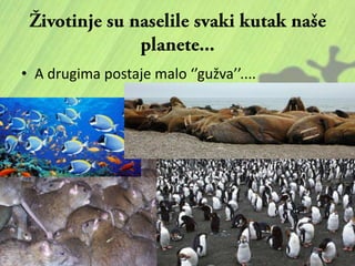 • A drugima postaje malo ‘’gužva’’....