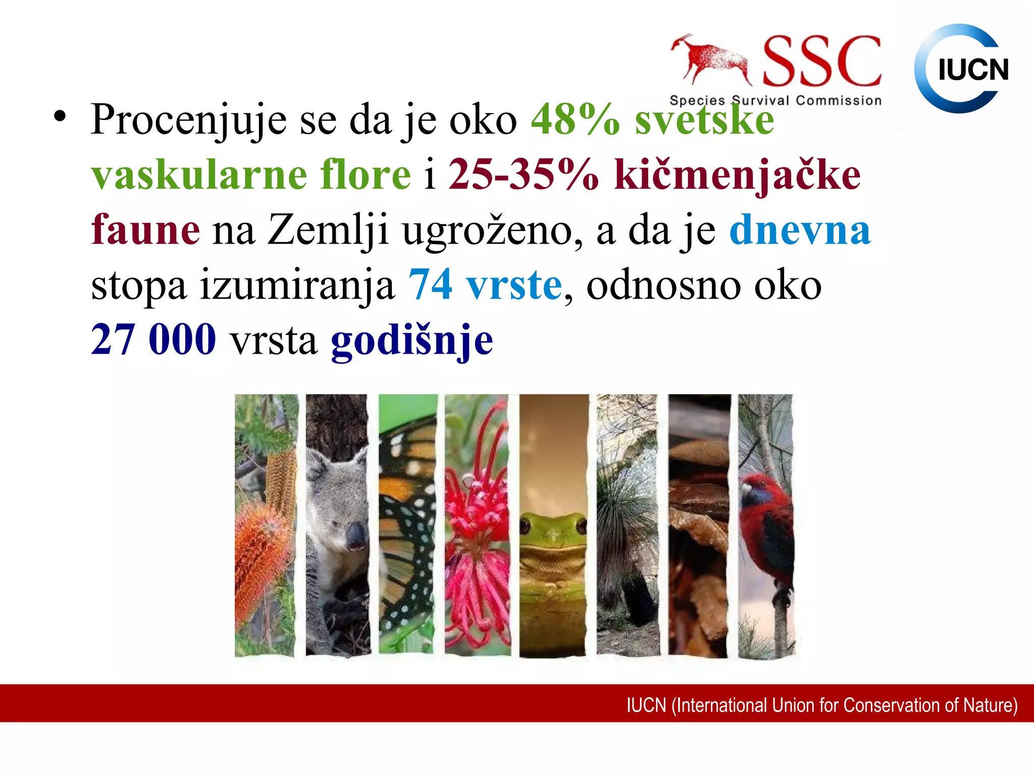 Biodiverzitet | PPT
