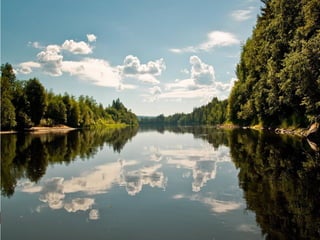 IUCN (International Union for Conservation of Nature)
 