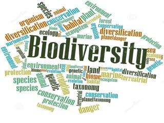 IUCN (International Union for Conservation of Nature)
 