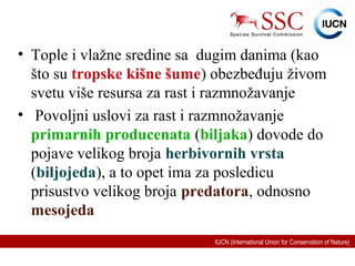 IUCN (International Union for Conservation of Nature)
• Tople i vlažne sredine sa dugim danima (kao
što su tropske kišne šume) obezbeđuju živom
svetu više resursa za rast i razmnožavanje
• Povoljni uslovi za rast i razmnožavanje
primarnih producenata (biljaka) dovode do
pojave velikog broja herbivornih vrsta
(biljojeda), a to opet ima za posledicu
prisustvo velikog broja predatora, odnosno
mesojeda
 