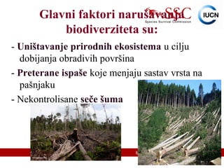 IUCN (International Union for Conservation of Nature)
Glavni faktori narušavanja
biodiverziteta su:
- Uništavanje prirodnih ekosistema u cilju
dobijanja obradivih površina
- Preterane ispaše koje menjaju sastav vrsta na
pašnjaku
- Nekontrolisane seče šuma
 