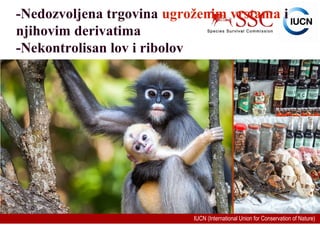 IUCN (International Union for Conservation of Nature)
-Nedozvoljena trgovina ugroženim vrstama i
njihovim derivatima
-Nekontrolisan lov i ribolov
 