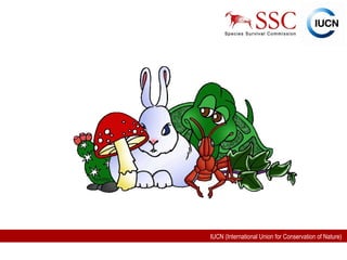 IUCN (International Union for Conservation of Nature)
 