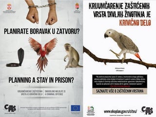 IUCN (International Union for Conservation of Nature)
 