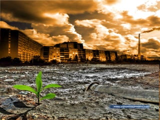 IUCN (International Union for Conservation of Nature)
 
