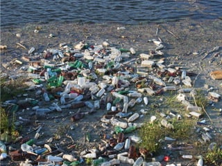 IUCN (International Union for Conservation of Nature)
 