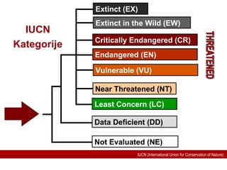 IUCN (International Union for Conservation of Nature)
IUCN
Kategorije
Not Evaluated (NE)
Near Threatened (NT)
Data Deficient (DD)
Endangered (EN)
Critically Endangered (CR)
Vulnerable (VU)
Extinct in the Wild (EW)
Extinct (EX)
Least Concern (LC)
 